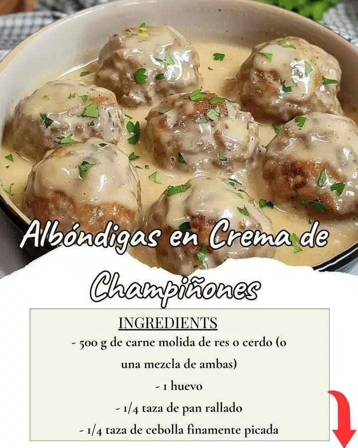 Albondigas en crema de champiñones, un platillo delicioso y fácil de preparar.